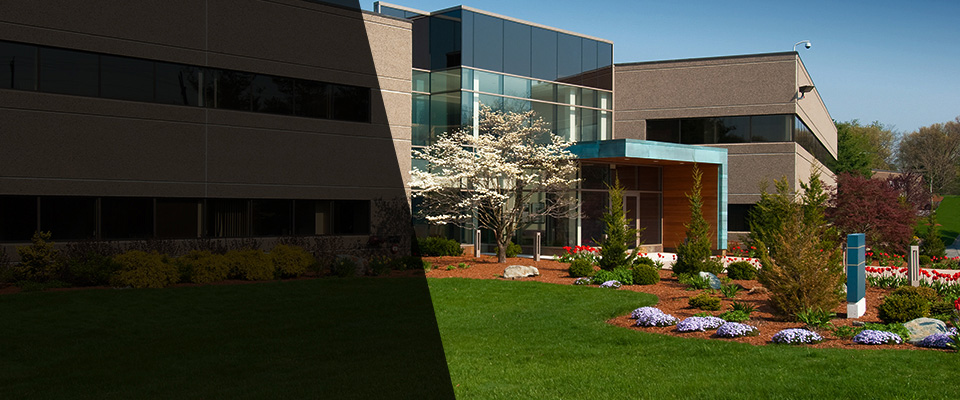 Newtonville Landscapers