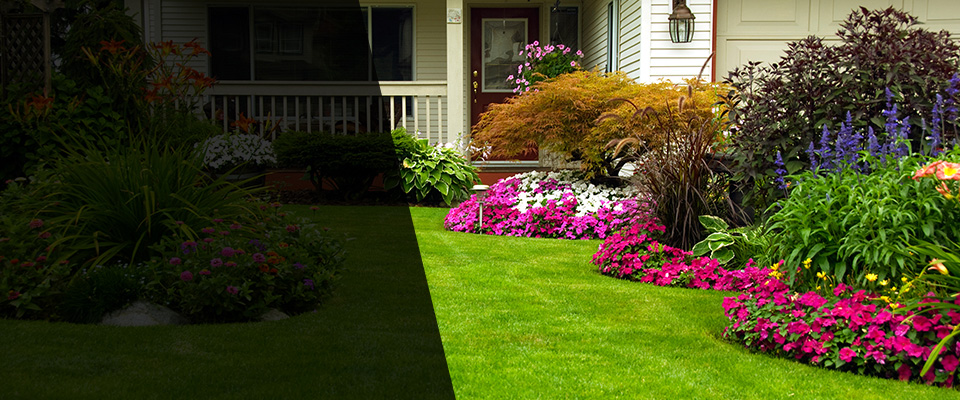 Newtonville Landscapers