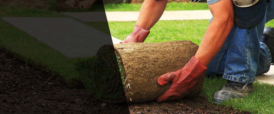 Newtonville Landscapers